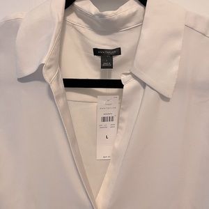 Ann Taylor Essential Shirt